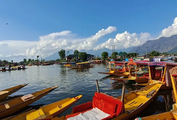 Kashmir
