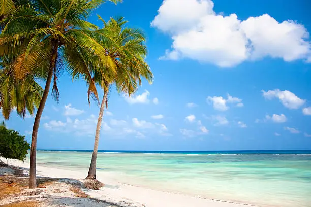 Lakshadweep