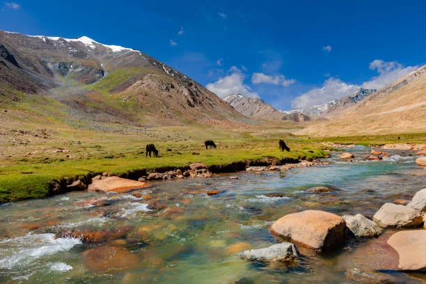 Leh Ladakh Tour Package for Couple – 5 Nights 6 Days Romantic Trip