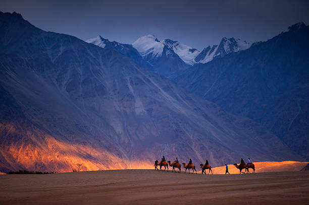 Magical Ladakh Tour Package for 7 Days - C Himalaya