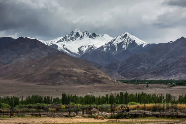 Leh Ladakh Tour Package from Malaysia 6 Nights 7 Days | Chimalaya