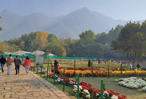 Kashmir Budget Tour - 3 Days