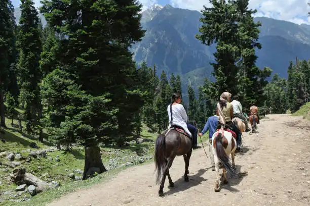 Glorious Kashmir Tour Package 6 Nights 7 Days