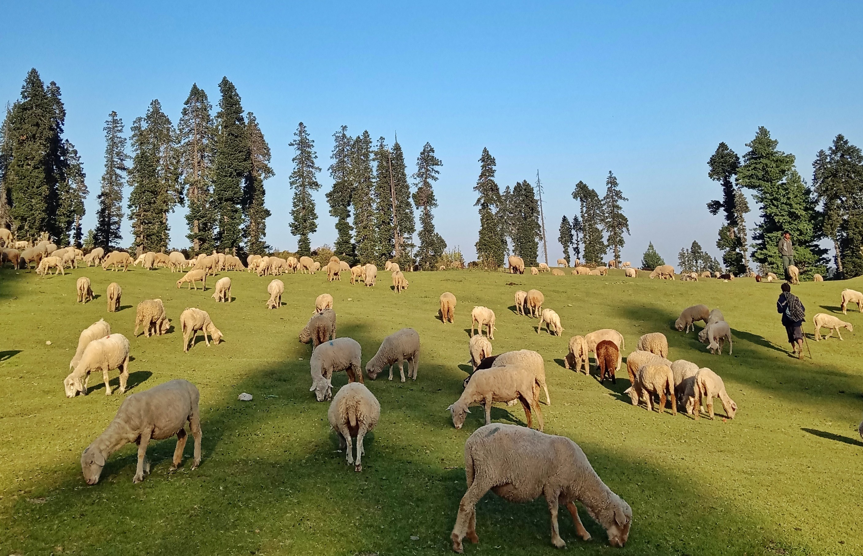 Kashmir Trekking Tour Package – 7 Nights / 8 Days