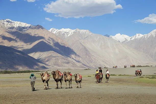 Leh Ladakh Tour Packages from Surat | 7 Nights 8 Days Ladakh Trip - Ladakh tour package
